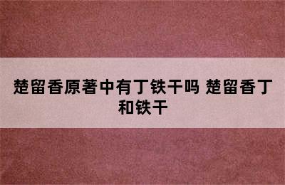 楚留香原著中有丁铁干吗 楚留香丁和铁干